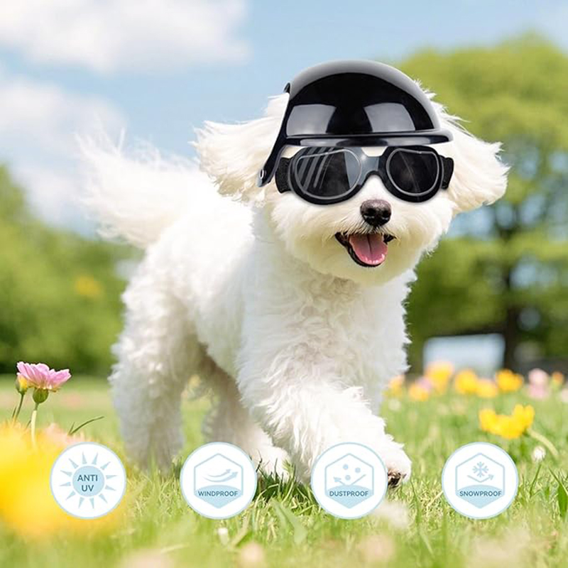 Motorcycle Gear Dogs - Dog Helmet and Sunglasses Sets for