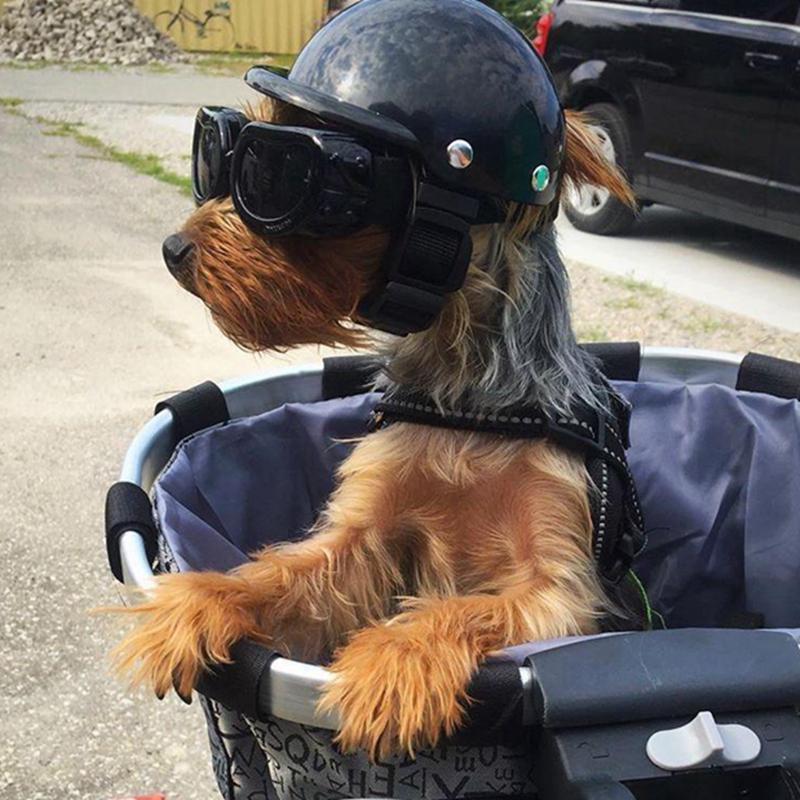 Pet Helmets Dog Cat Bicycle Mo - огляд і ціна Motorcycle Gear Dogs