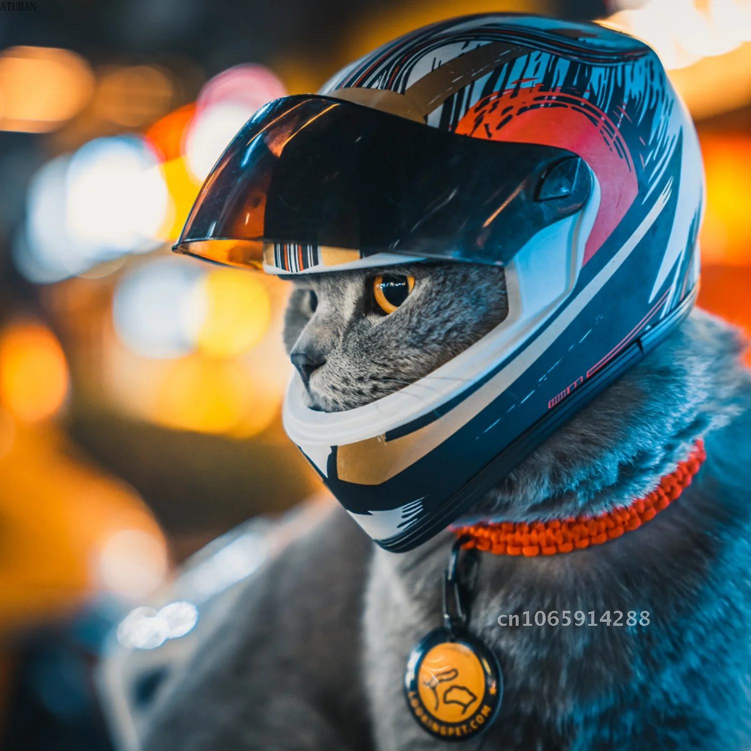 Photo Pet Helmets,Cat Helmet,D - огляд і ціна Motorcycle Gear Dogs
