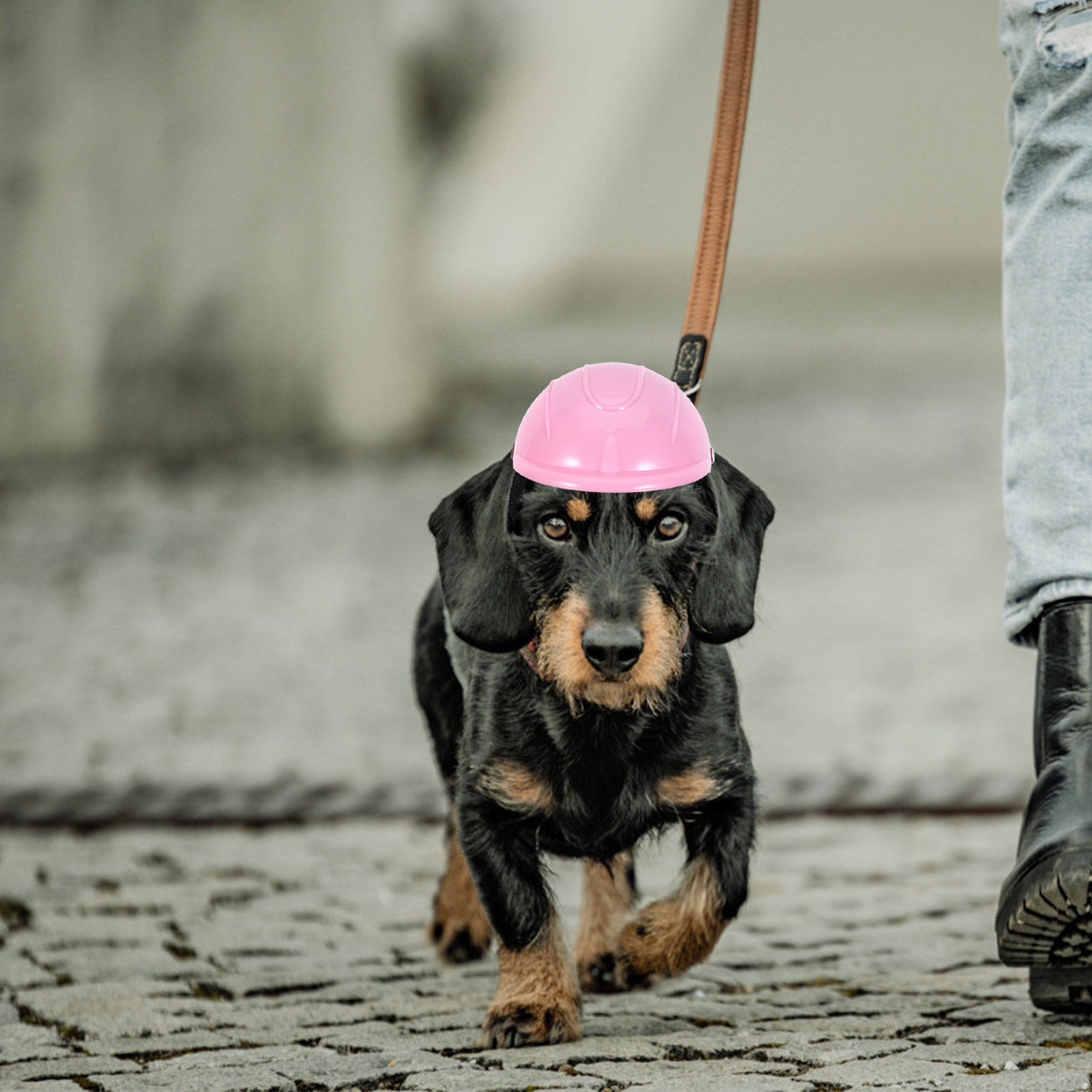 Small Dog Adjustable Pet Safet - огляд і ціна Motorcycle Gear Dogs