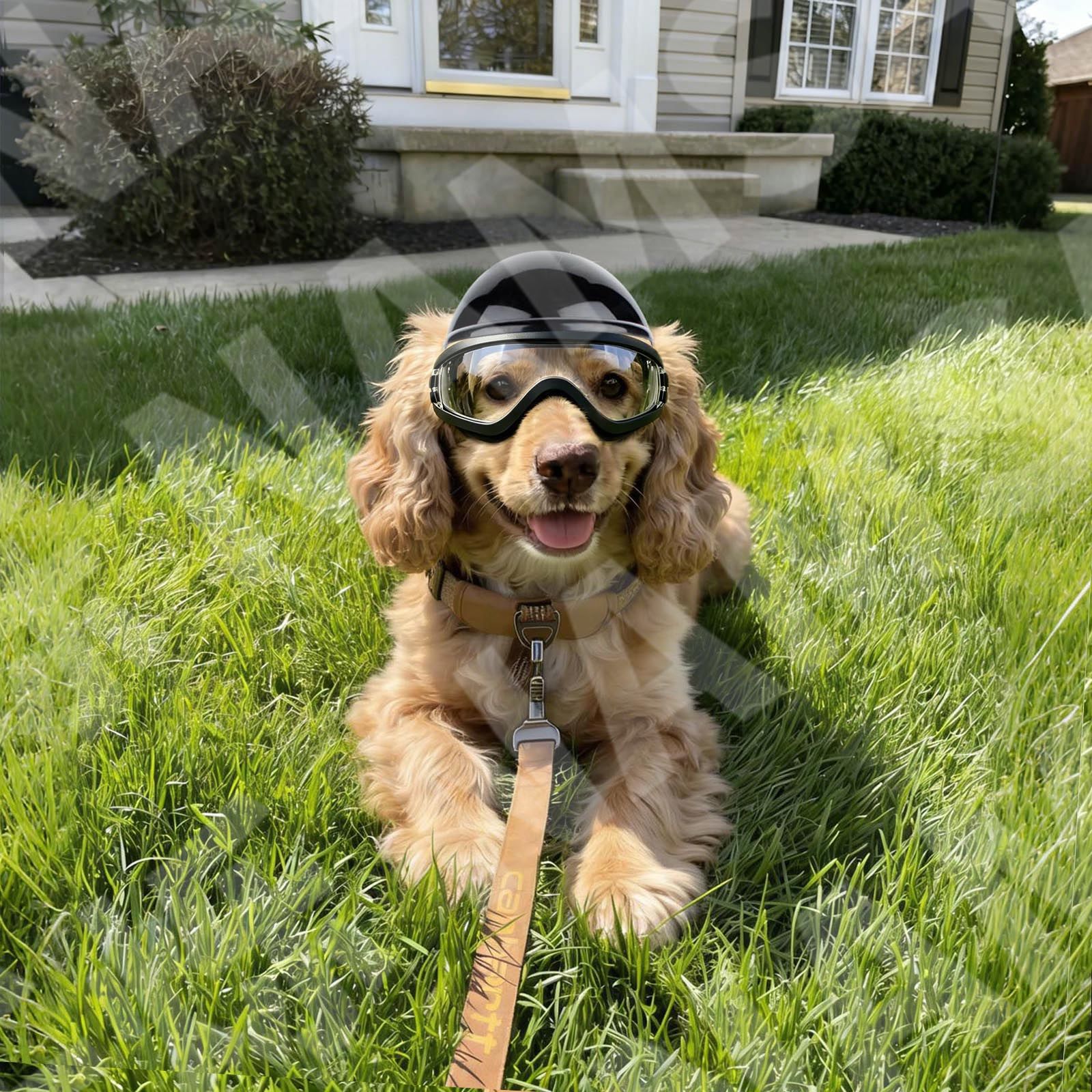 Dog Sunglasses and Pet Helmet  - огляд і ціна Motorcycle Gear Dogs